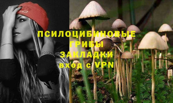 прущие грибы Мегион