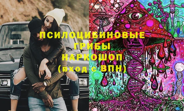 хмурый Медногорск