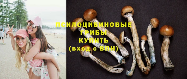кристаллы Корсаков